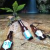 Cerveza de Miel Blond Ale
