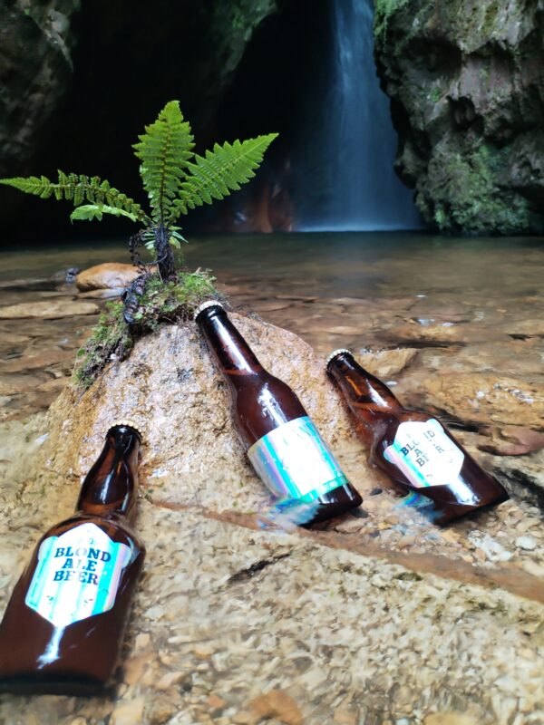 IMG_20230716_093916 Cerveza de Miel Blond Ale